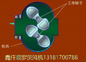 羅茨風(fēng)機的工作特點(diǎn)三葉羅茨鼓風(fēng)機的工作原理