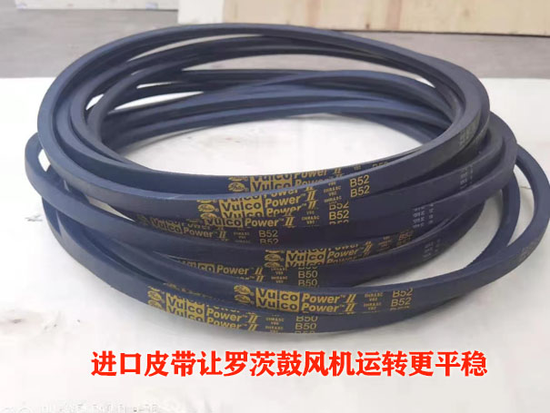 羅茨鼓風(fēng)機皮帶溫度過(guò)熱的原因
