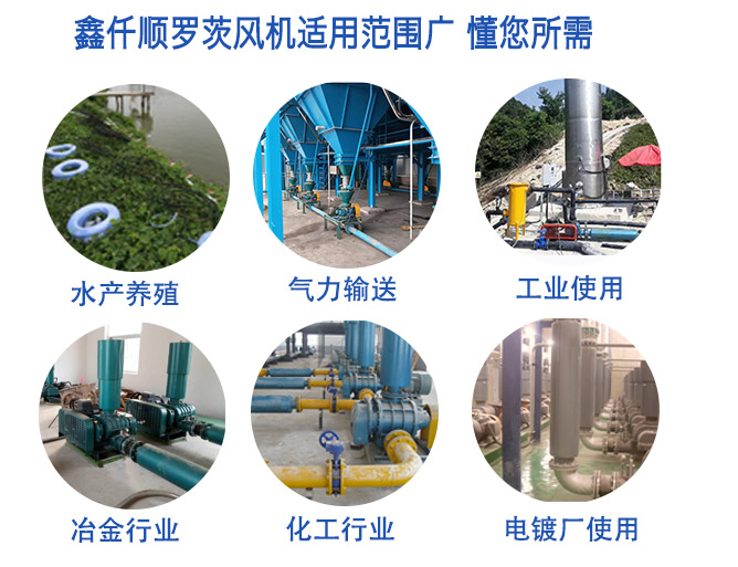 三葉羅茨鼓風(fēng)機廠(chǎng)家解說(shuō)