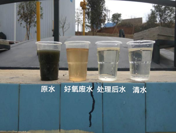 污水曝氣羅茨鼓風(fēng)機應用案例 污水曝氣羅茨鼓風(fēng)機應用案例